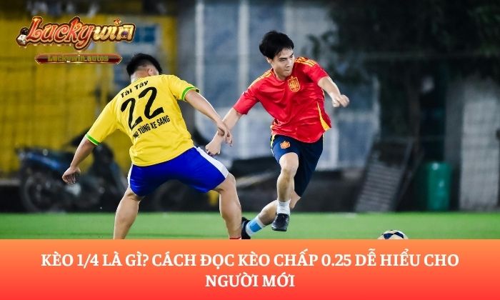 Kèo 1/4 là gì