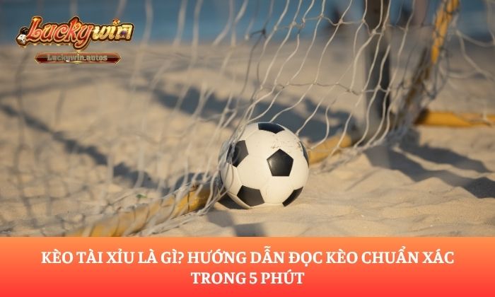 Kèo tài xỉu là gì