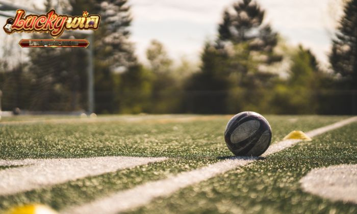 Cách hệ thống điều chỉnh tỷ lệ kèo rung